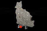 NWA 859 "Taza"