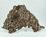 El Eglab 001