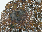 El Eglab 001