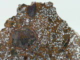 El Eglab 001