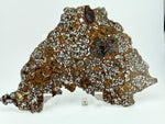 El Eglab 001