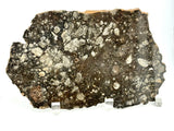 NWA 14016 Eucrite Melt Breccia