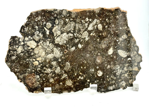 NWA 14016 Eucrite Melt Breccia