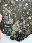 NWA 14016 Eucrite Melt Breccia