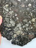 NWA 14016 Eucrite Melt Breccia