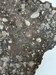 NWA 14016 Eucrite Melt Breccia