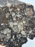 NWA 14016 Eucrite Melt Breccia
