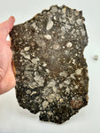 NWA 14016 Eucrite Melt Breccia