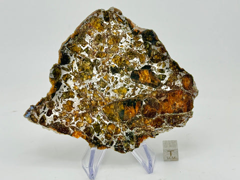 Admire Pallasite