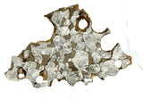Mundrabilla