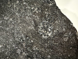 NWA 17295