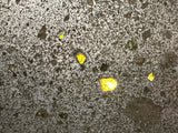 Tanezrouft 091