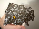 El Eglab 001
