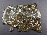 El Eglab 001