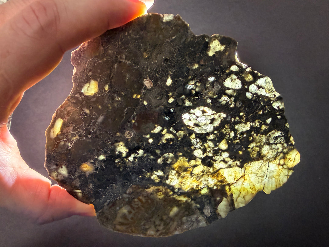 Lunar – Minnesota Meteorites