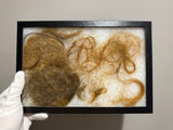 Wooly Mammoth hair