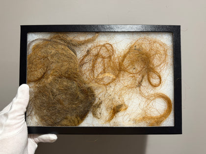 Wooly Mammoth hair