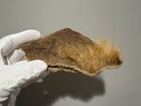 Cave Bear skin and hair
