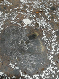 El Eglab 001