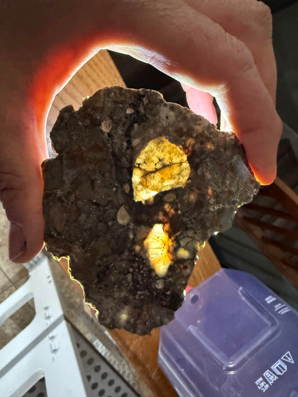 Lunar Breccia