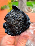Cast of the beautiful Ohio button meteorite. (Wadsworth)