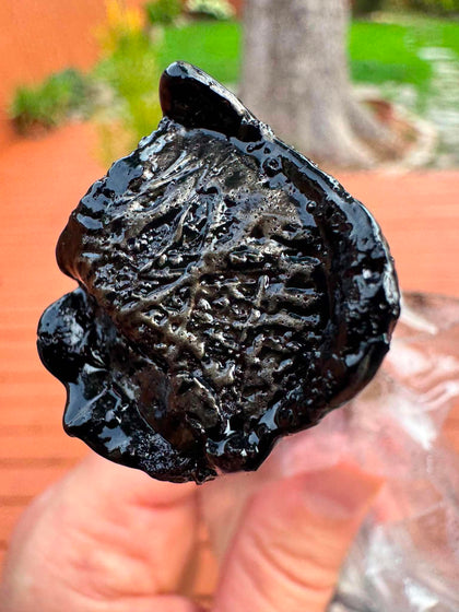 Cast of the beautiful Ohio button meteorite. (Wadsworth)