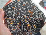 Sericho Pallasite