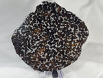 Sericho Pallasite