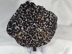 Sericho Pallasite