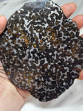 Sericho Pallasite