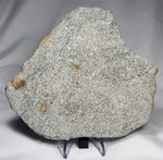 Monomict Eucrite