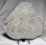 Monomict Eucrite