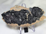 Lunar Breccia - NWA 13951