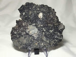 "Apollo" Lunar Breccia