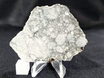 Gadamis "Apollo Lunar"