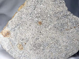 Monomict Eucrite