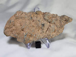 Lunar Breccia - NWA 13951