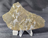 Punggur H7 Melt