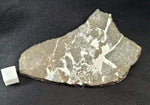 Punggur H7 Melt