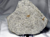 Monomict Eucrite