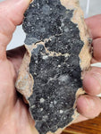 Lunar Breccia - NWA 13951