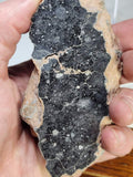 Lunar Breccia - NWA 13951