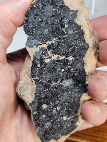Lunar Breccia - NWA 13951