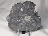 "Apollo" Lunar Breccia