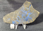 Punggur H7 Melt